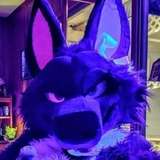 purplehuskymurr from onlyfans